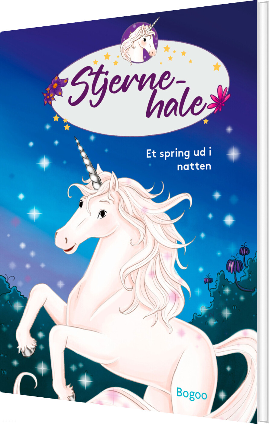 Stjernehale: Et Spring Ud I Natten - Linda Chapman - Bog