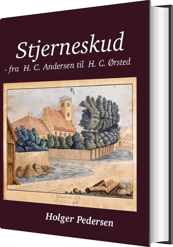 Stjerneskud - Holger Pedersen - Bog
