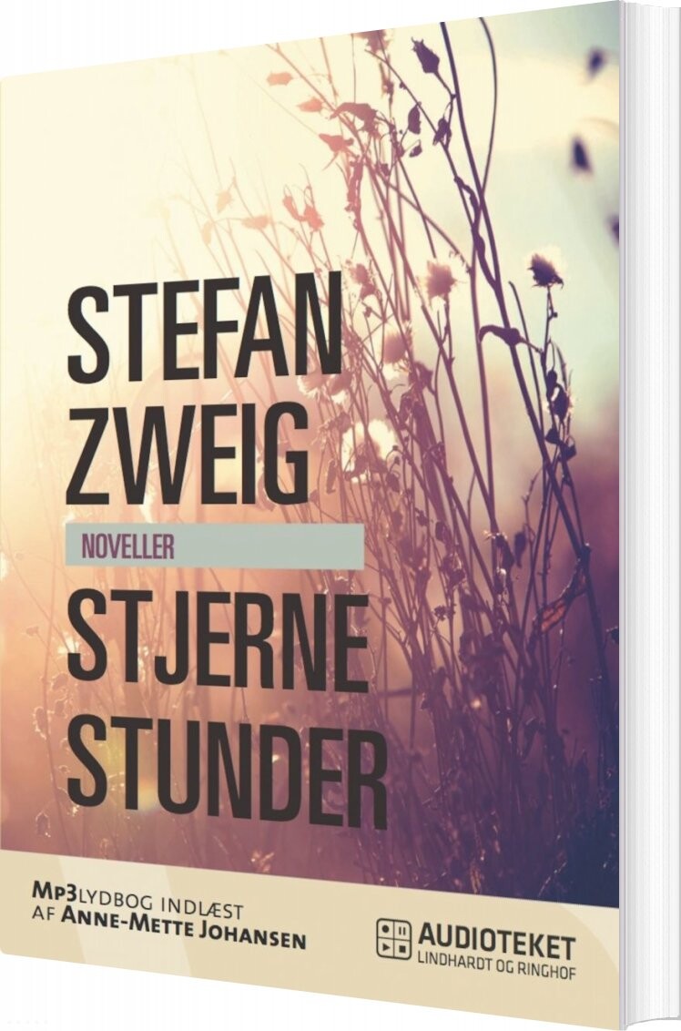 Billede af Stjernestunder - Stefan Zweig - Bog