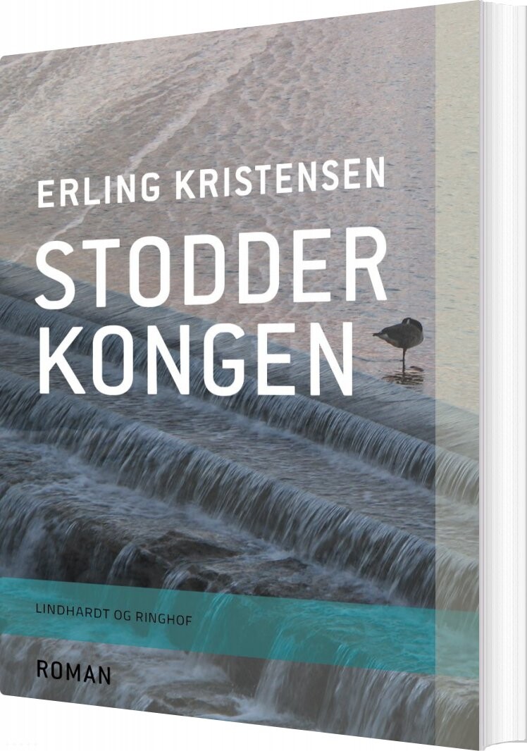 Stodderkongen - Erling Kristensen - Bog