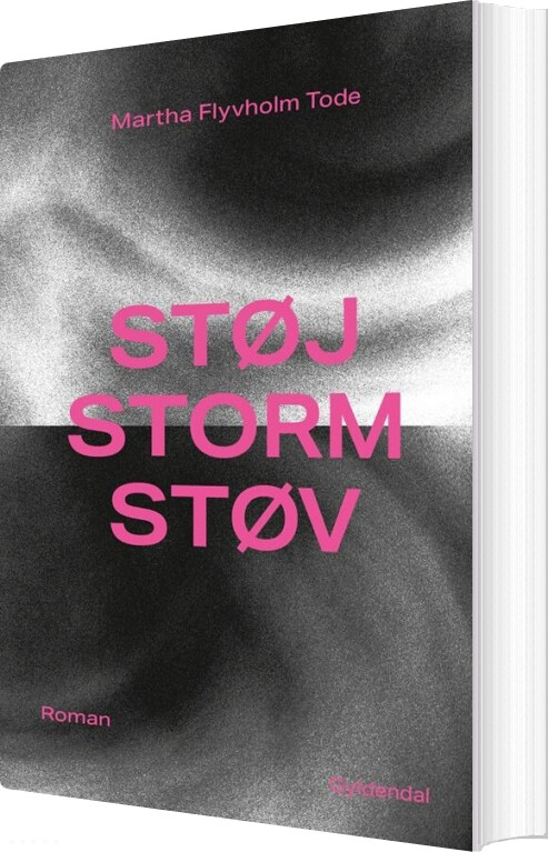 Billede af Støj, Storm, Støv - Martha Flyvholm Tode - Bog