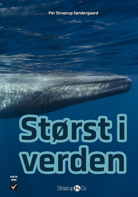 Størst I Verden - Per Straarup Søndergaard - Bog - Straarup & Co