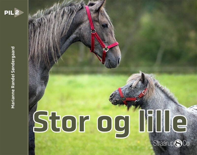 Stor Og Lille - Marianne Randel Søndergaard - Bog - Straarup & Co