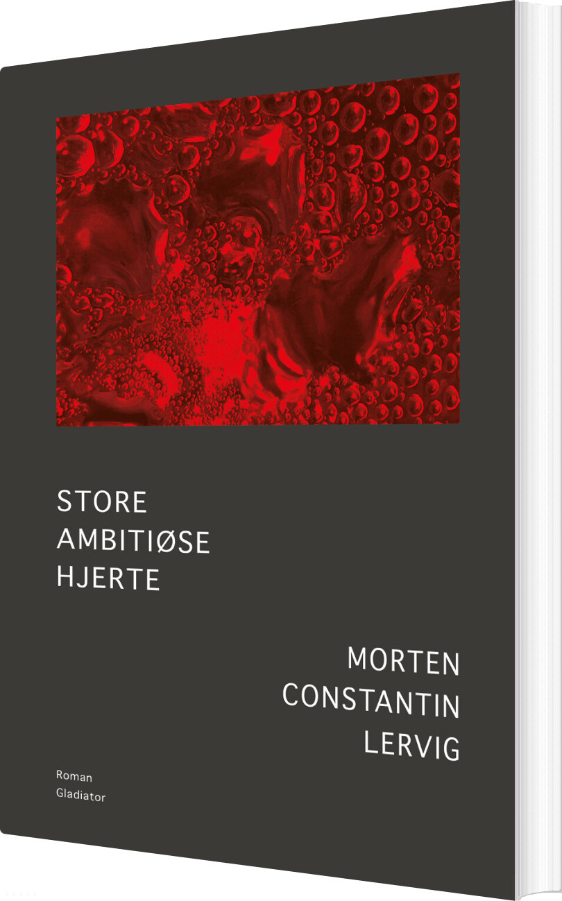 Store Ambitiøse Hjerte - Morten Lervig - Bog