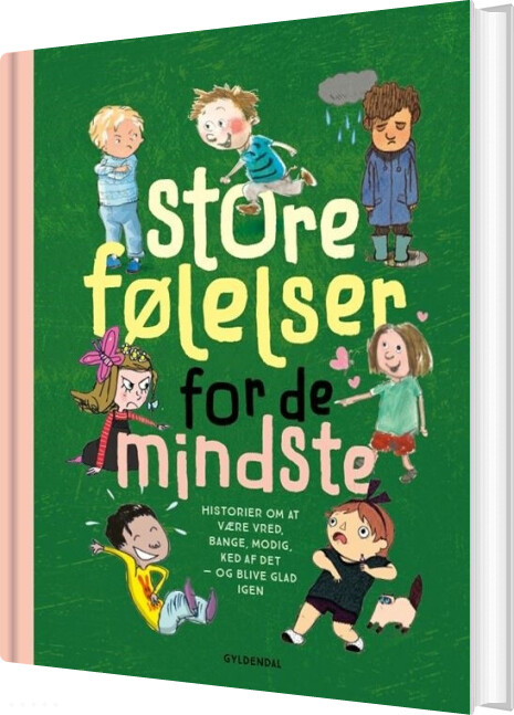 Store Følelser For De Mindste - Alberte Winding - Bog
