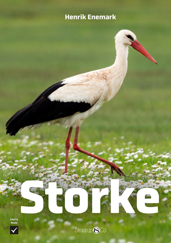 Storke - Henrik Enemark - Bog