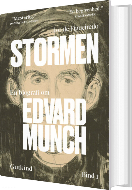 Stormen - Ivo De Figueiredo - Bog