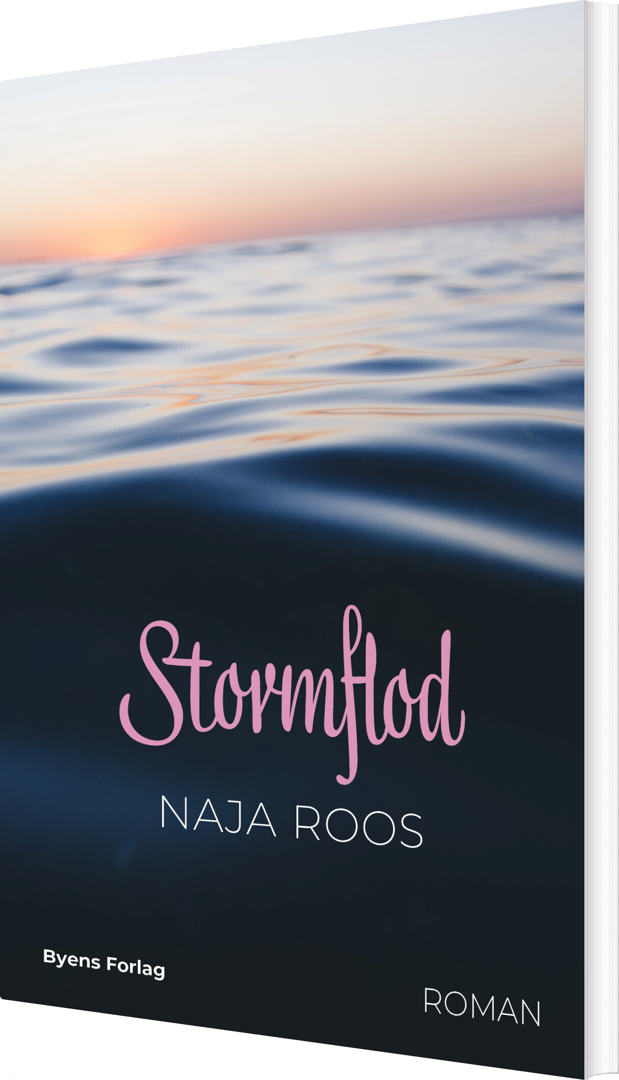 Stormflod - Naja Roos - Bog