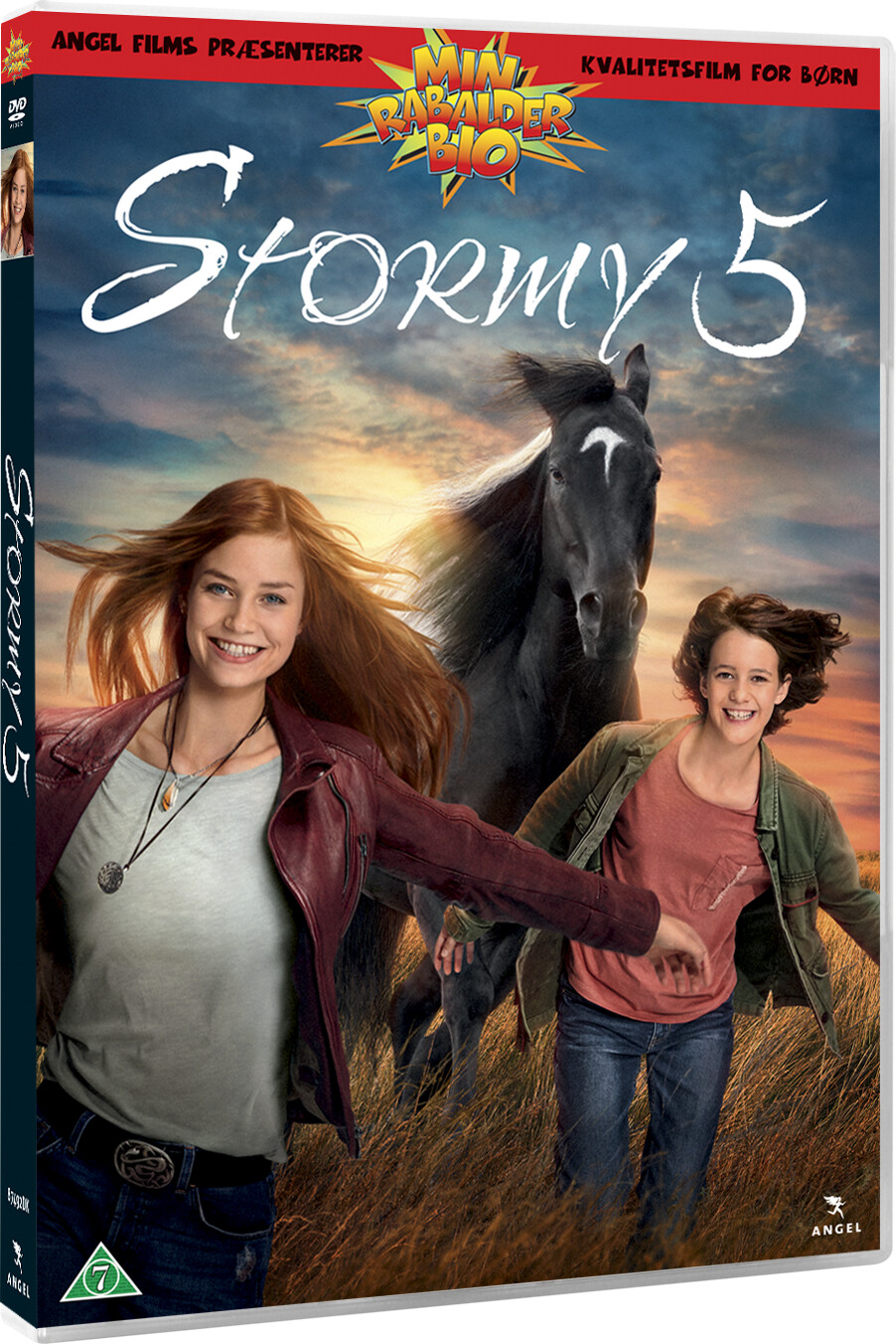 Stormy 5 - DVD - Film