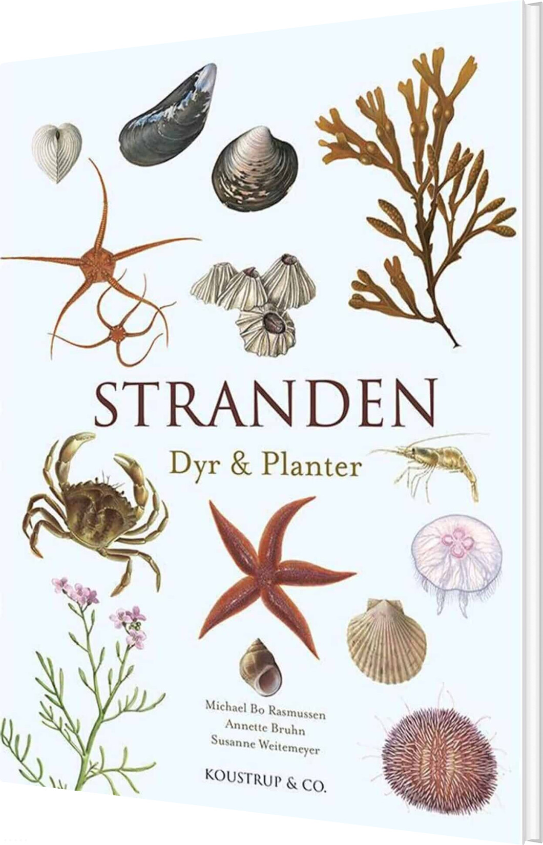 Stranden - Michael Bo Rasmussen - Bog