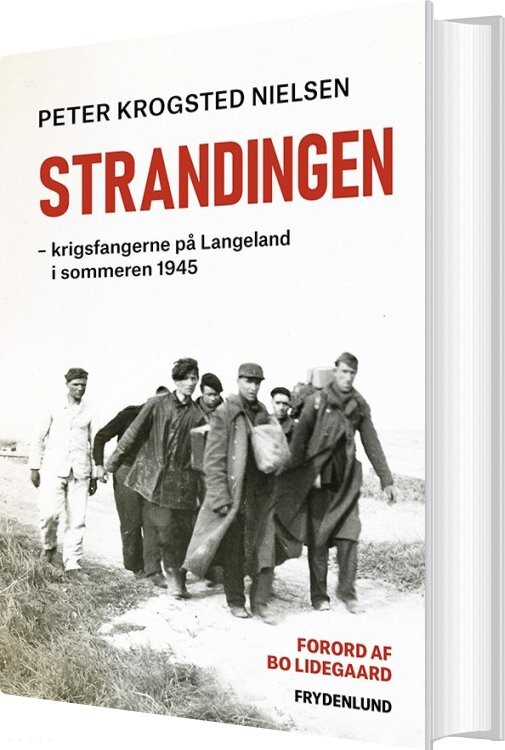 Billede af Strandingen - Peter Krogsted Nielsen - Bog