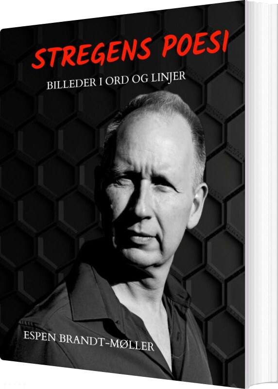 Billede af Stregens Poesi - Espen Brandt-møller - Bog