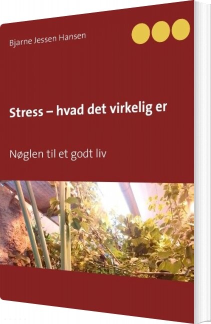 Billede af Stress - Hvad Det Virkelig Er - Bjarne Jessen Hansen - Bog