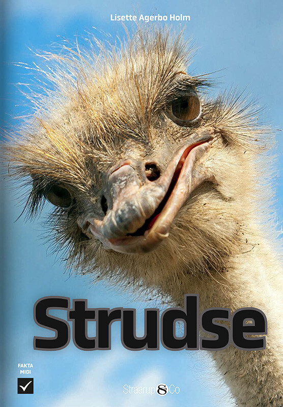 Strudse - Lisette Agerbo Holm - Bog - Straarup & Co