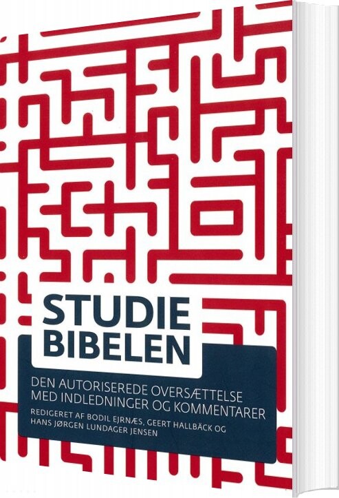 Billede af Studiebibelen - Bodil Ejrnæs - Bog