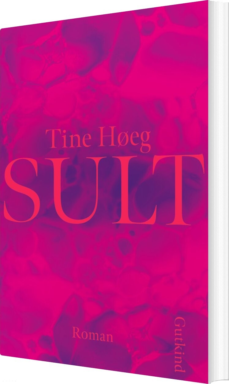 Billede af Sult - Tine Høeg - Bog