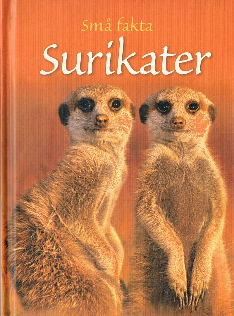 Billede af Små Fakta - Surikater - James Maclaine - Bog