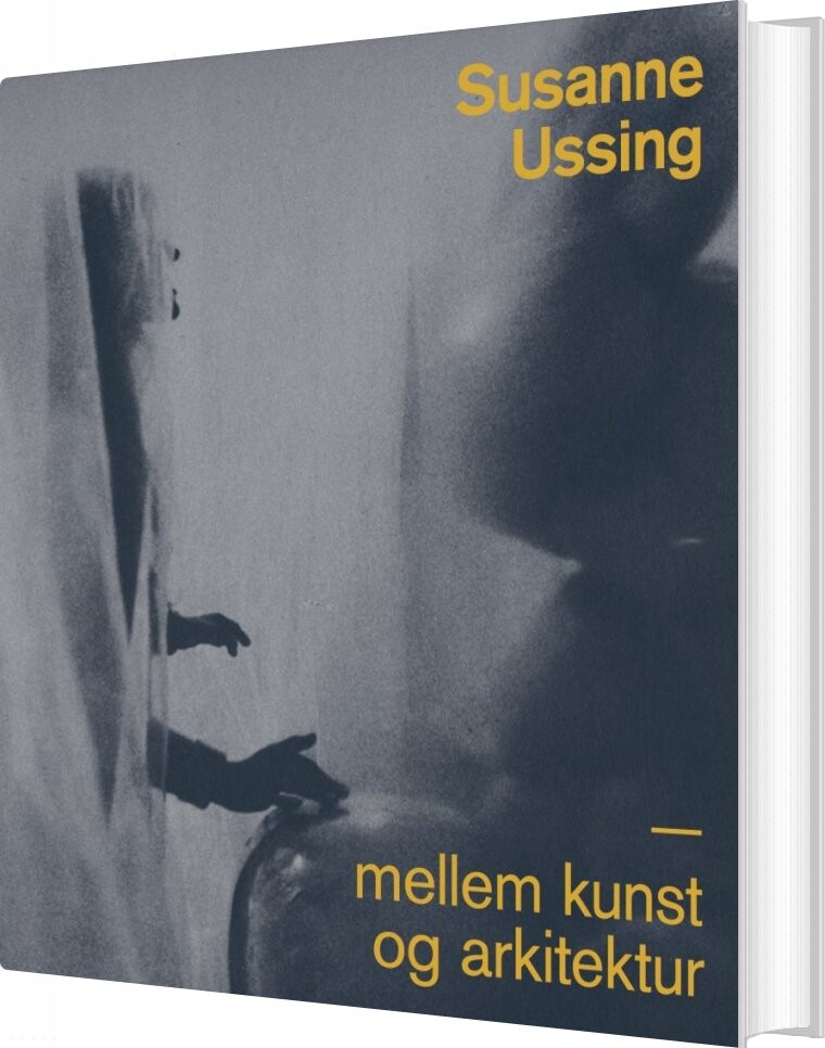 Susanne Ussing - Peter Laugesen - Bog