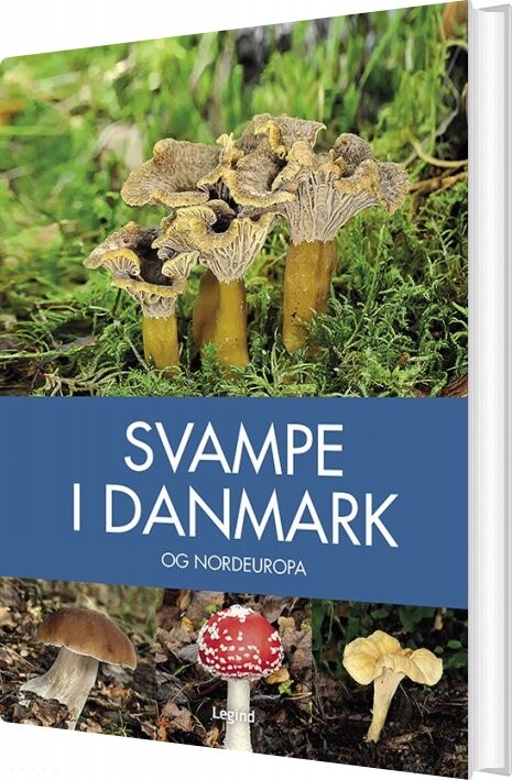 Billede af Svampe I Danmark - Josephine Bacon - Bog