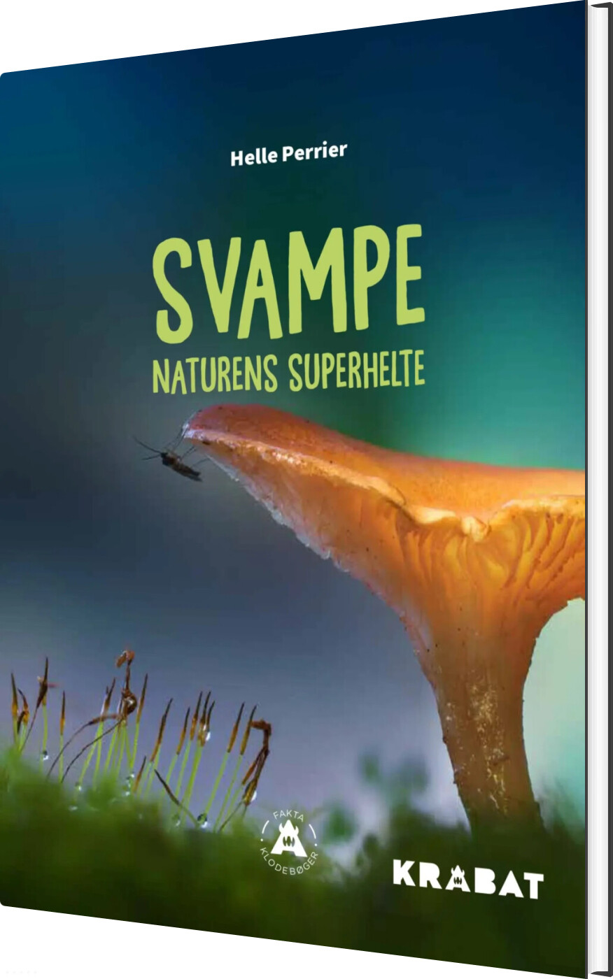 Svampe - Helle Perrier - Bog