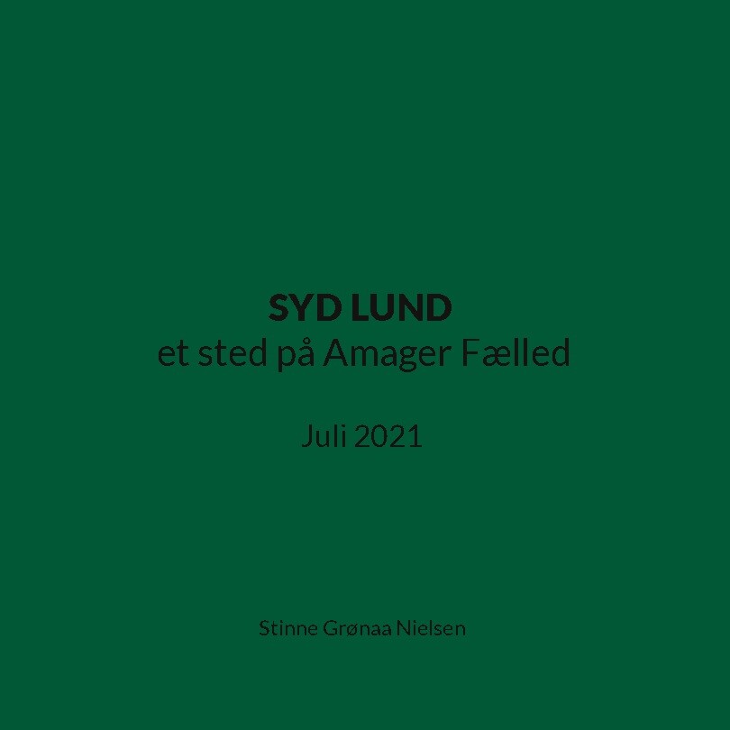Syd Lund Et Sted På Amager Fælled - Stinne Grønaa Nielsen - Bog