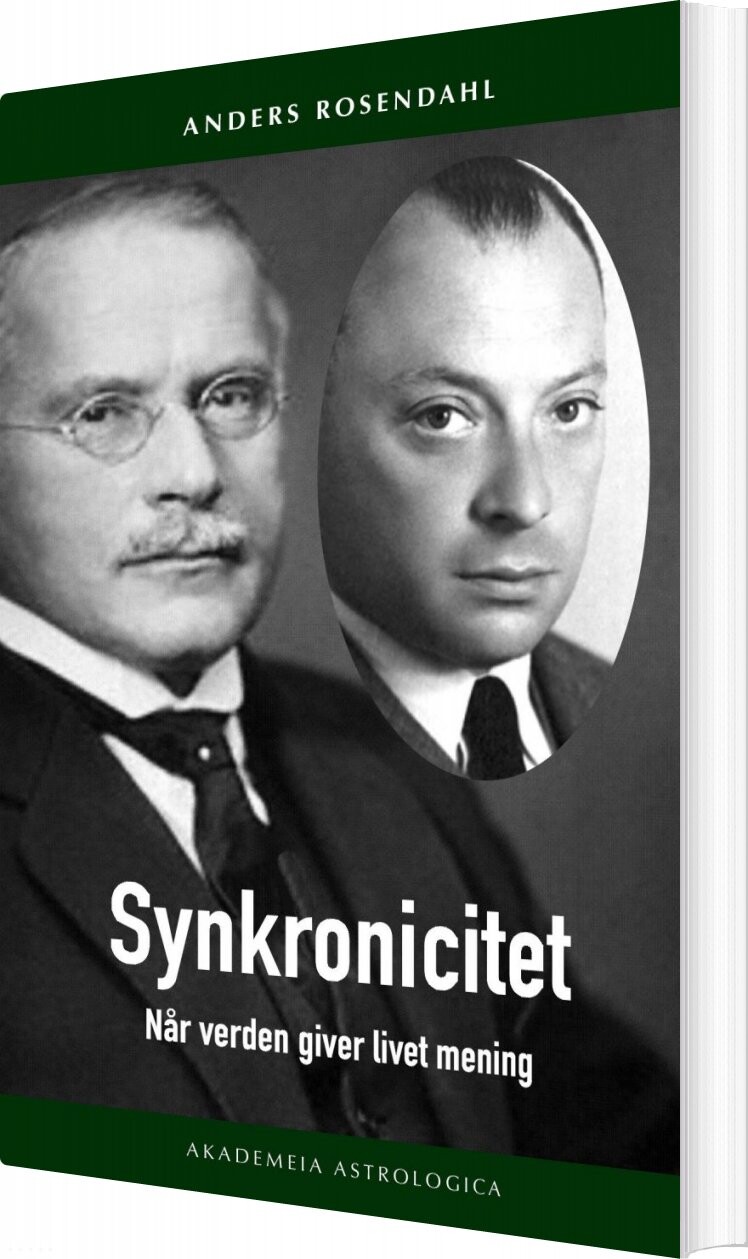 #2 - Synkronicitet - Anders Rosendahl - Bog