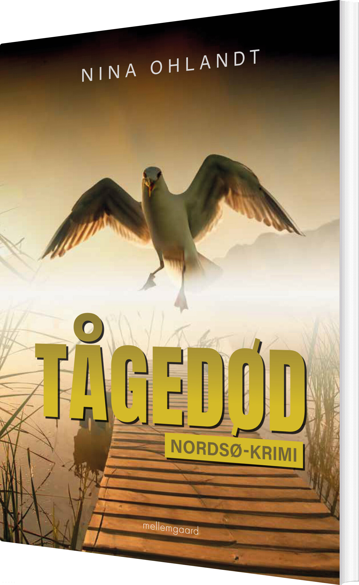 Tågedød - Nina Ohlandt - Bog