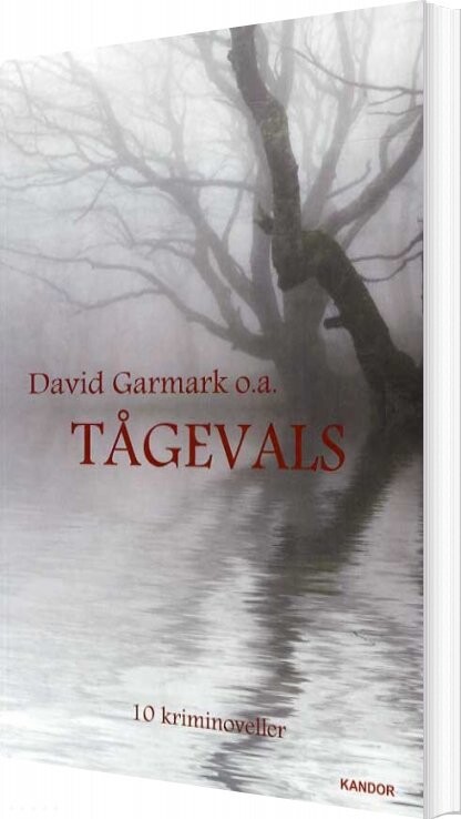 Tågevals - Lars Thomassen - Bog