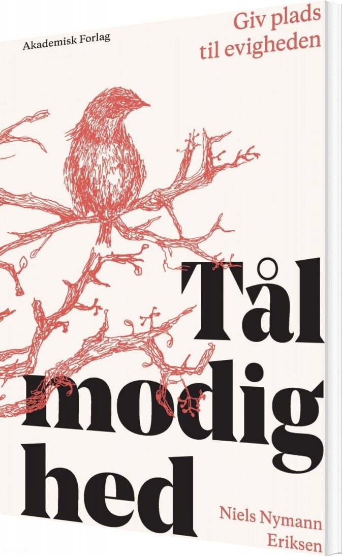 Billede af Tålmodighed - Niels Nymann Eriksen - Bog