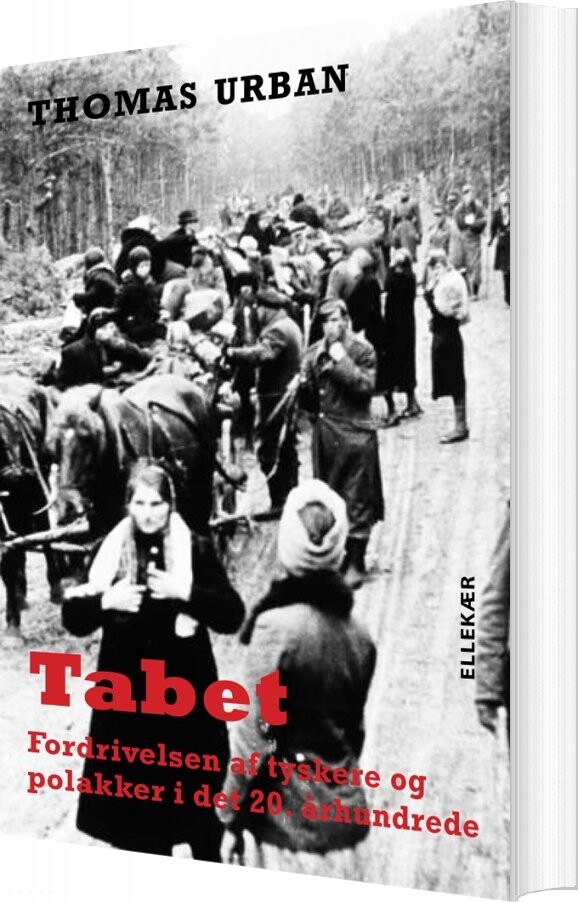 Billede af Tabet - Thomas Urban - Bog