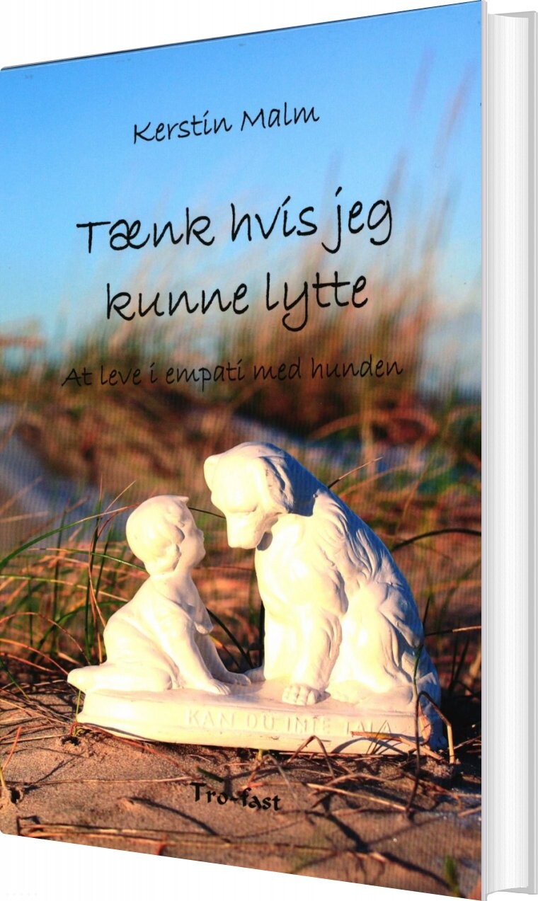 Billede af Tænk Hvis Jeg Kunne Lytte - Kerstin Malm - Bog