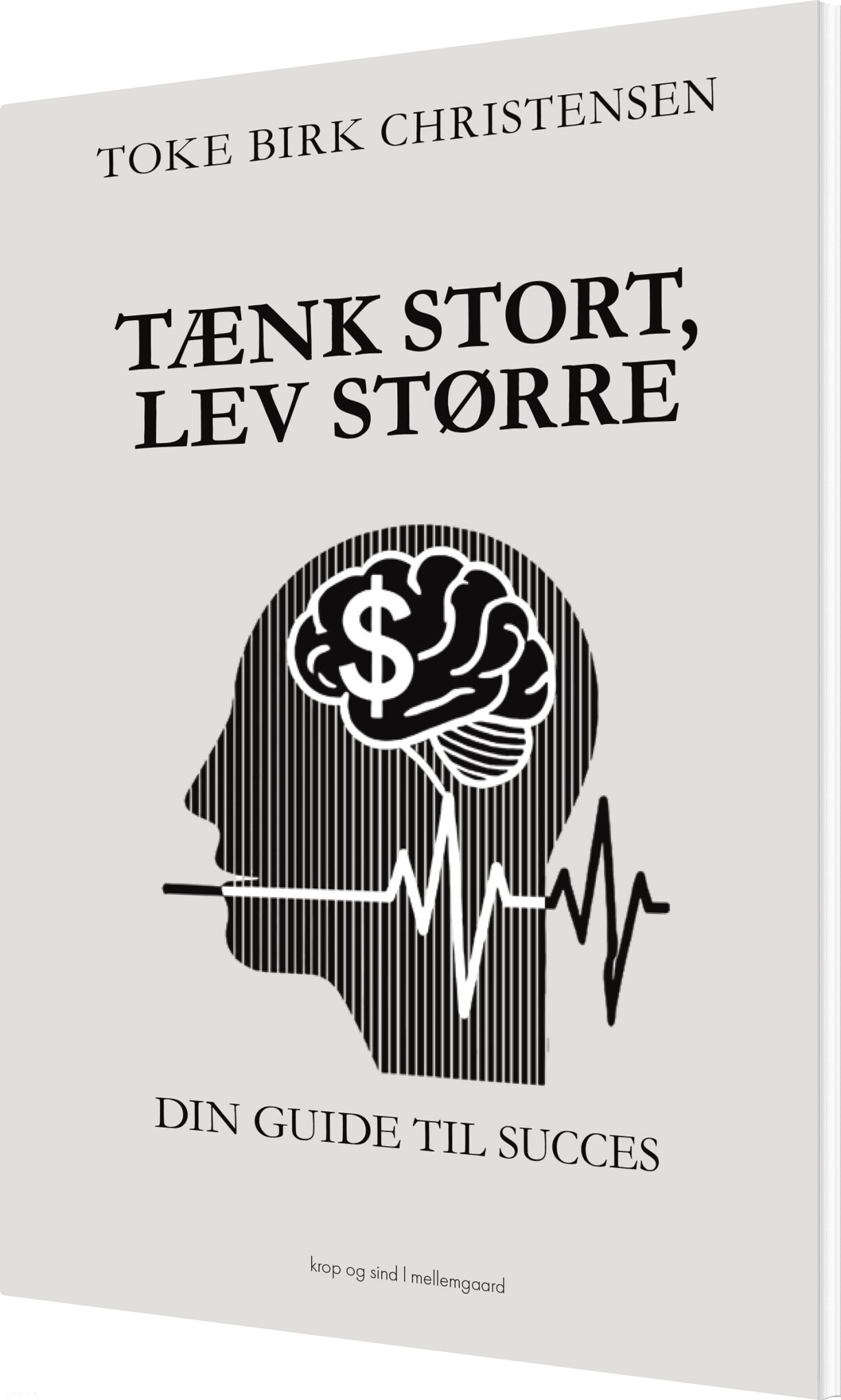 Tænk Stort, Lev Større - Toke Birk Christensen - Bog