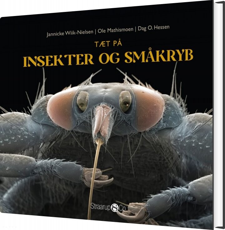 Billede af Tæt På Insekter Og Småkryb - Dag O. Hessen - Bog hos Gucca.dk