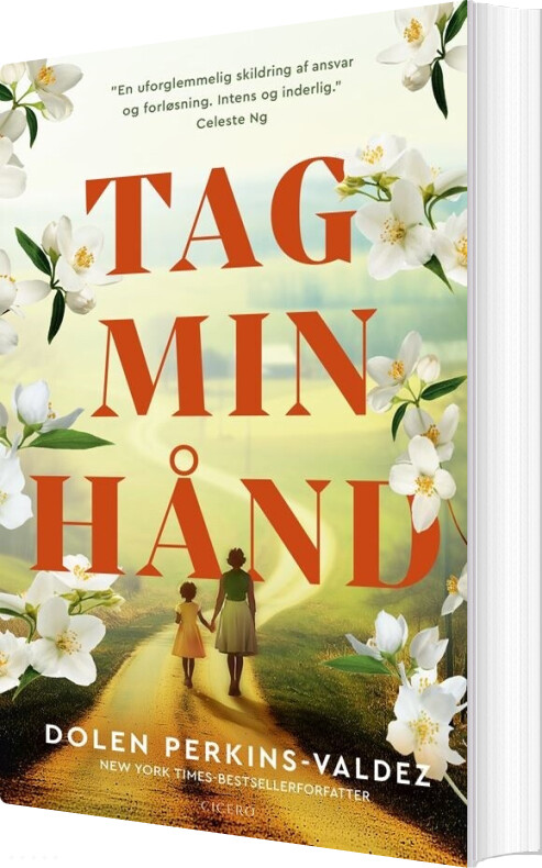 Tag Min Hånd - Dolen Perkins-valdez - Bog