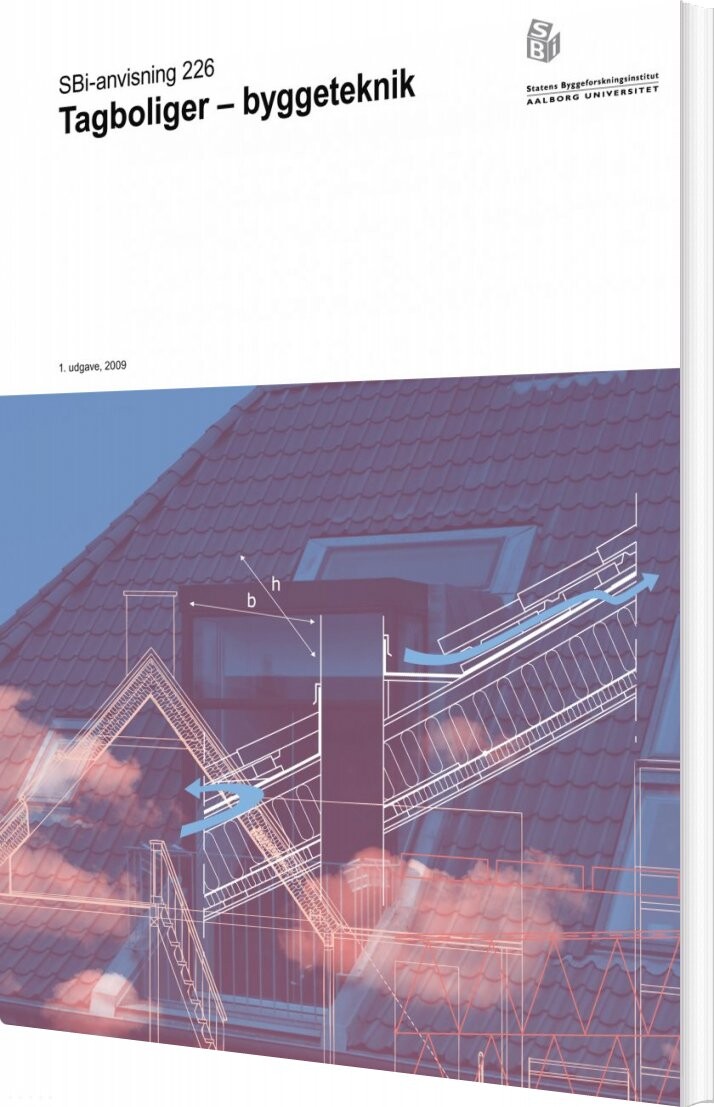 Sbi-anvisning 226 - Tagboliger - Ernst Jan De Place Hansen - Bog