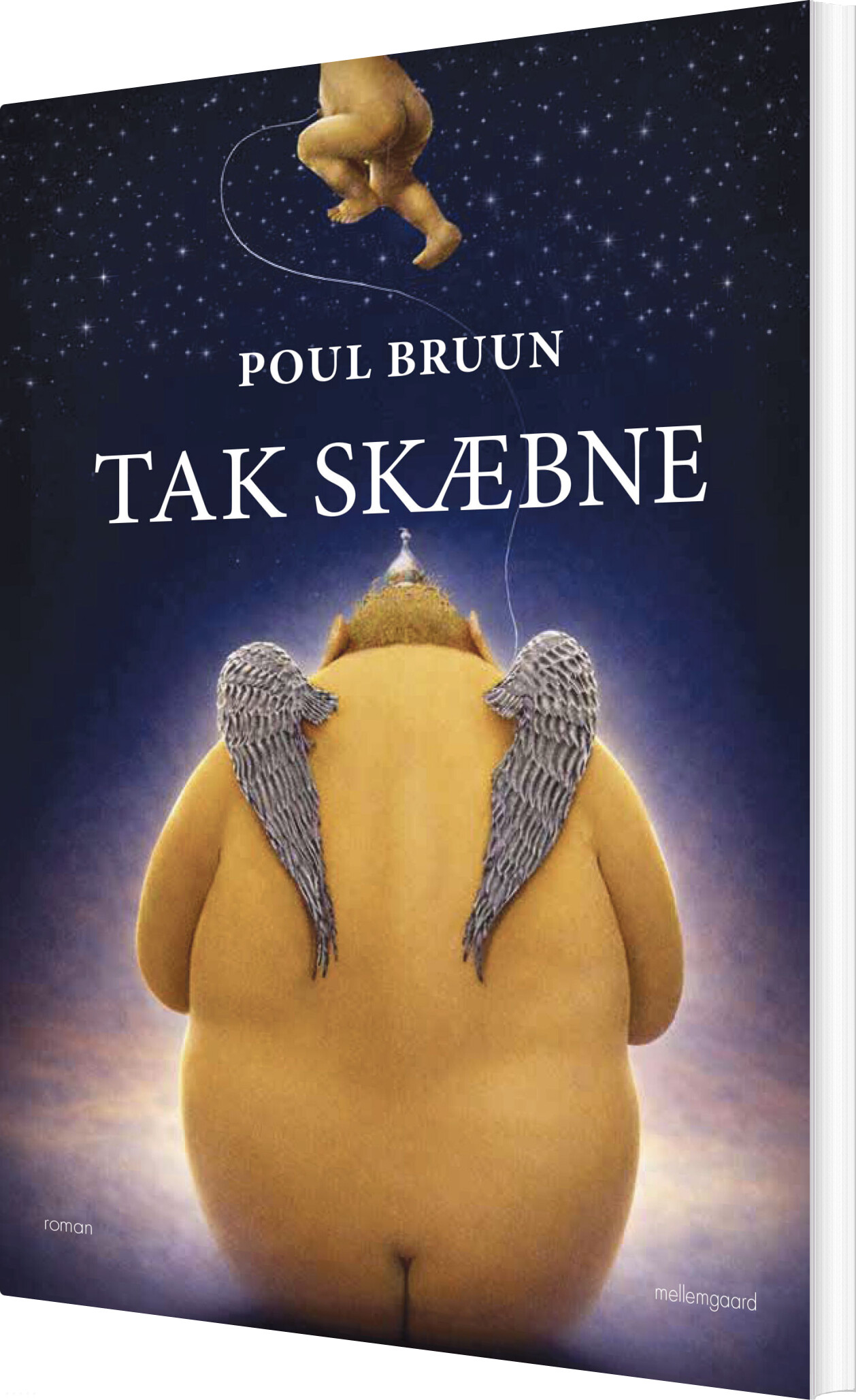 Tak Skæbne - Poul Bruun - Bog