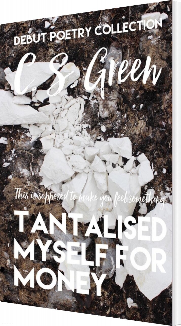 Billede af Tantalised Myself For Money - C. S. Green - English Book