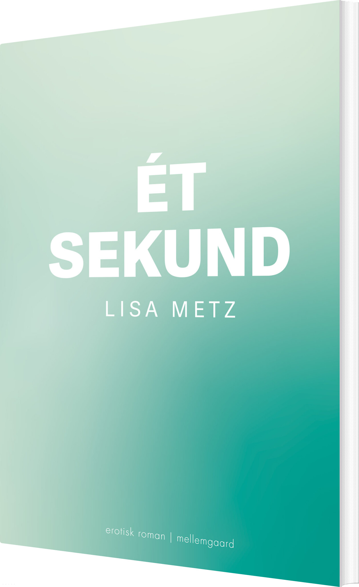 ét Sekund - Lisa Metz - Bog