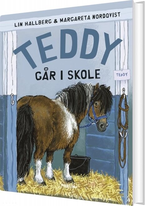 Teddy Går I Skole - Lin Hallberg - Bog