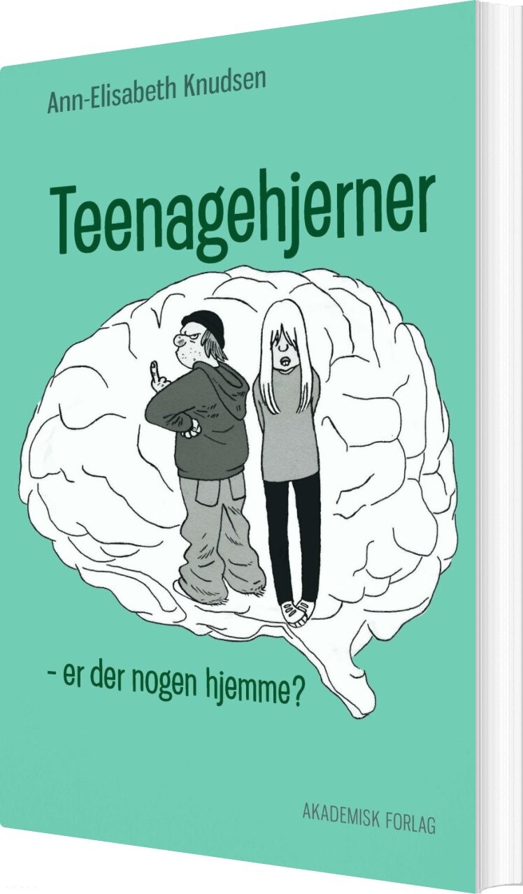 Billede af Teenagehjerner - Ann-elisabeth Knudsen - Bog
