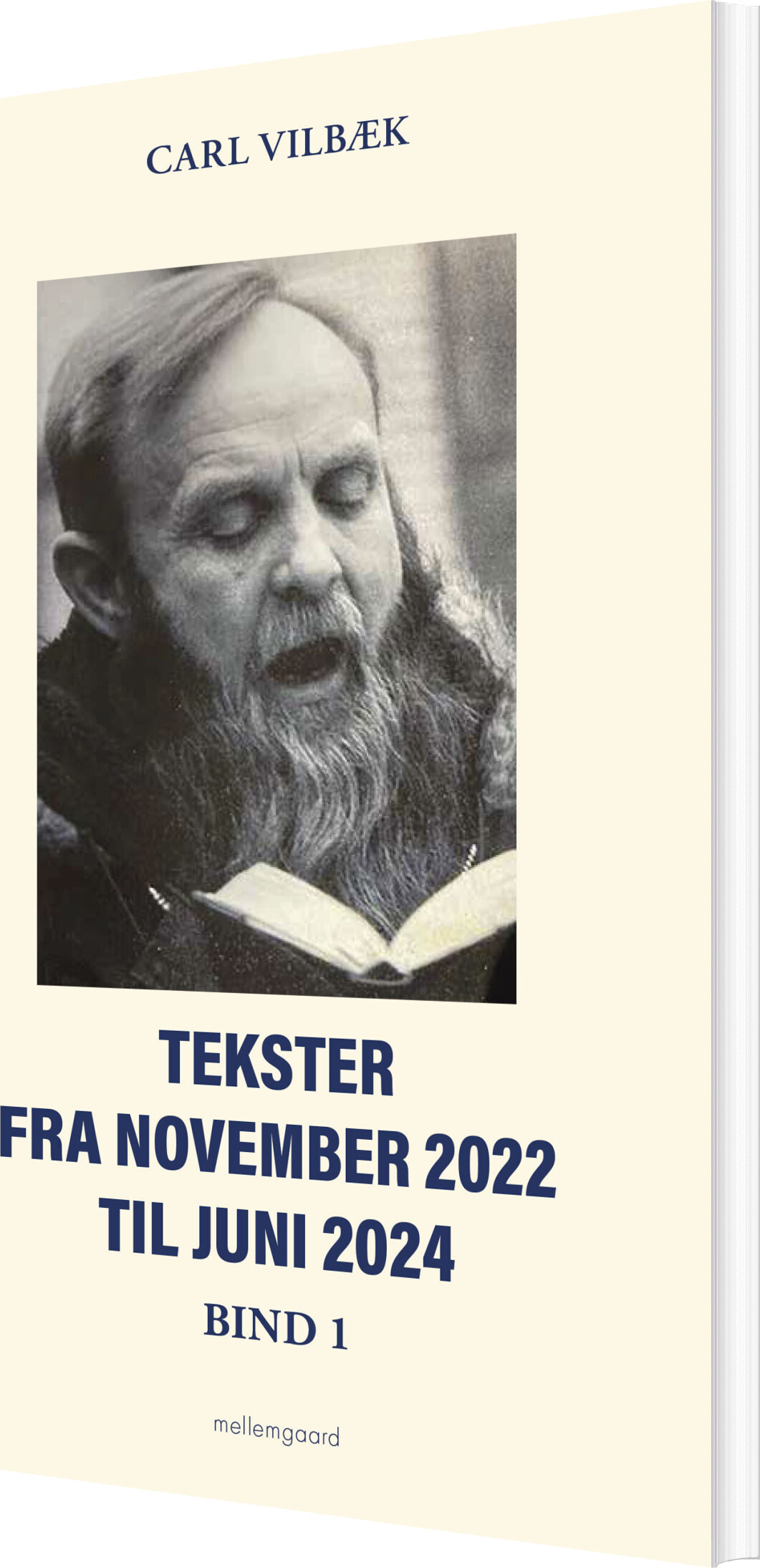 Tekster Fra November 2022 Til Juni 2024 Bind 1 - Carl Vilbæk - Bog