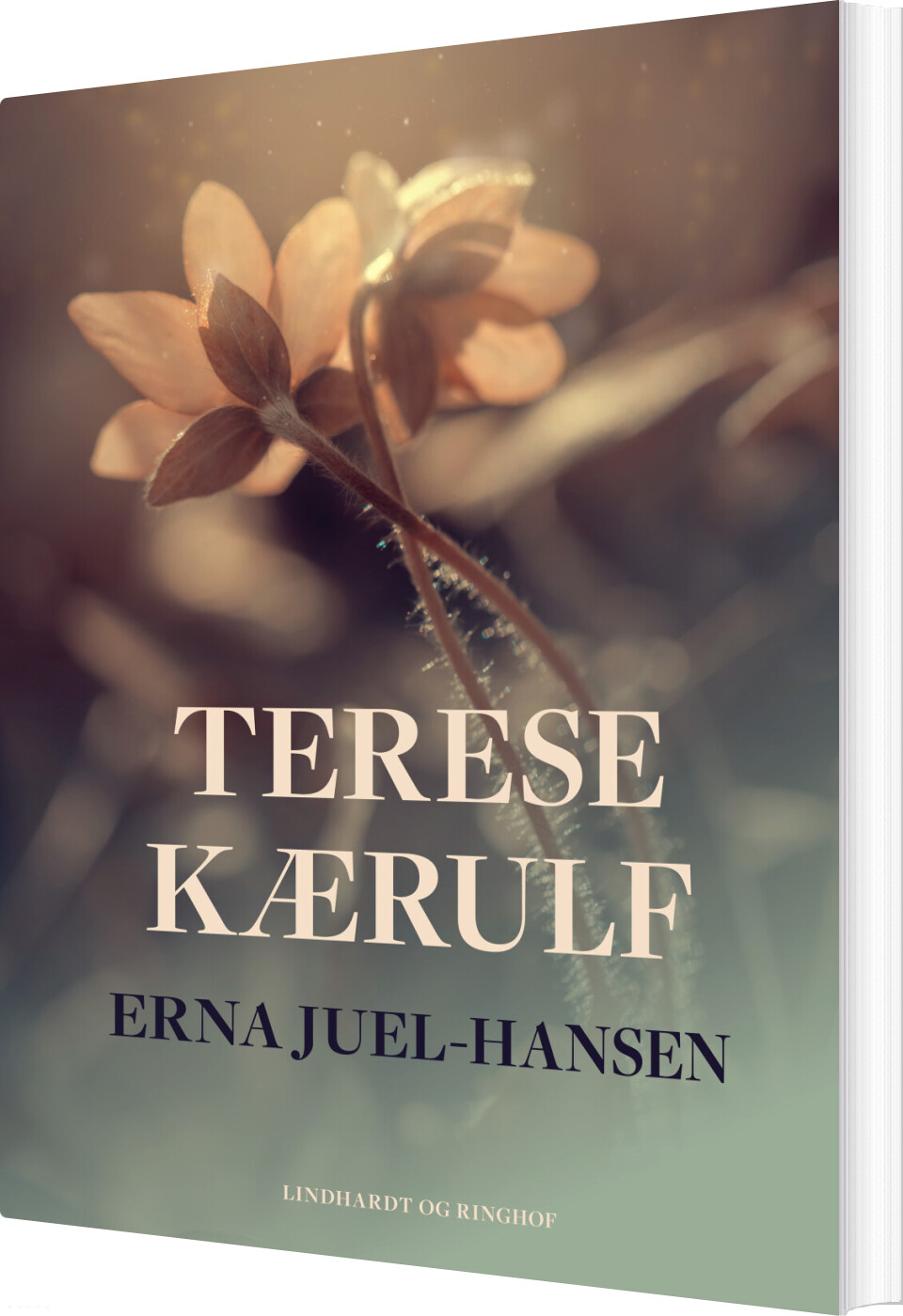 Terese Kærulf - Erna Juel-hansen - Bog