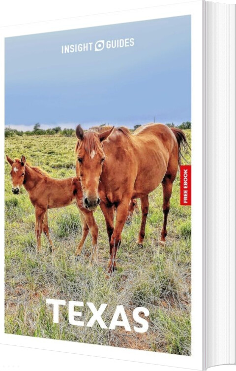 Insight Guides - Texas - Rashmi Narayan - English Book