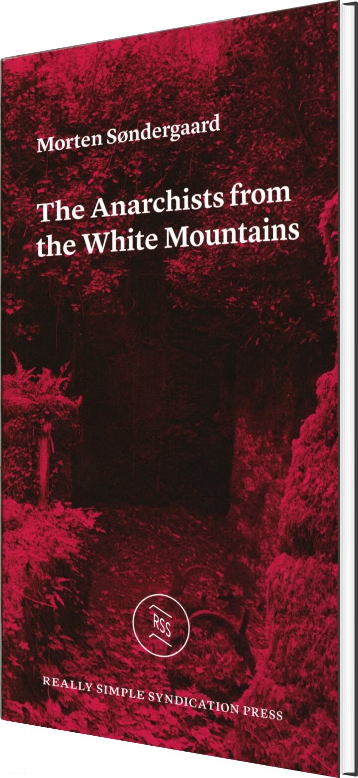 Billede af The Anarchists From The White Mountais - Morten Søndergaard - English Book