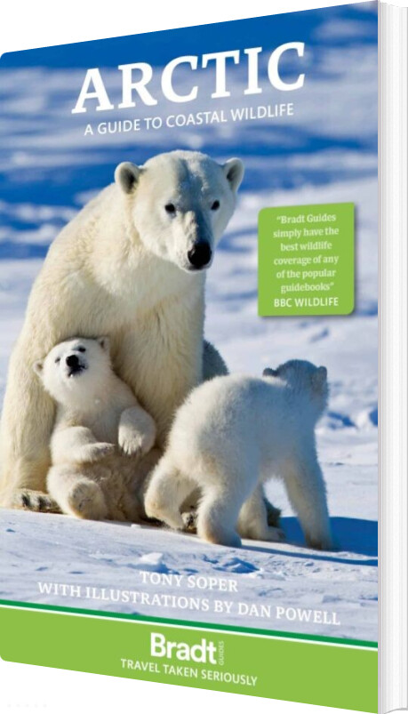 The Arctic - Tony Soper Dan Powell - English Book