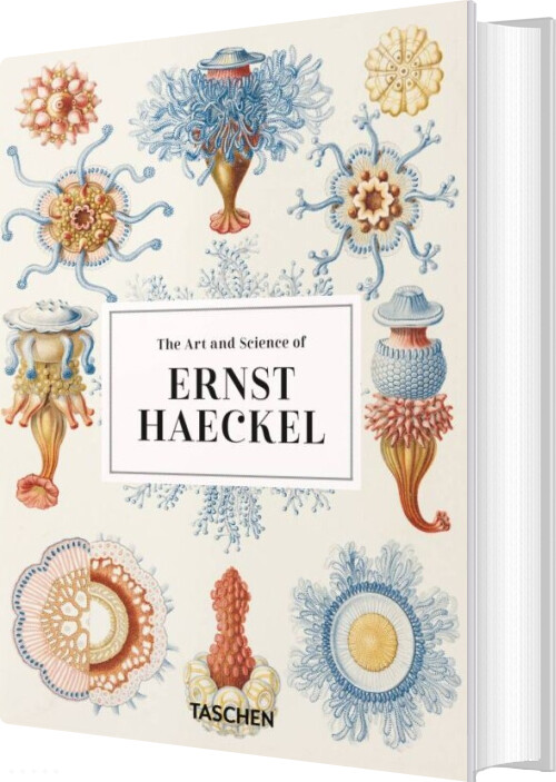 The Art And Science Of Ernst Haeckel - Rainer Willmann - English Book