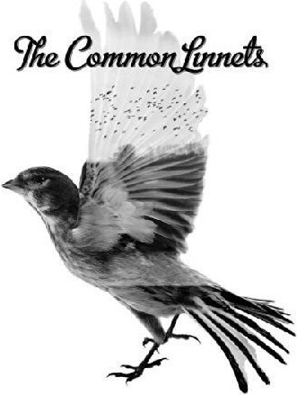 The Common Linnets - The Common Linnets - CD