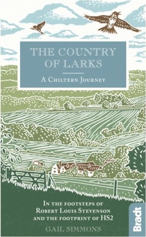 Billede af The Country Of Larks - Gail Simmons - English Book