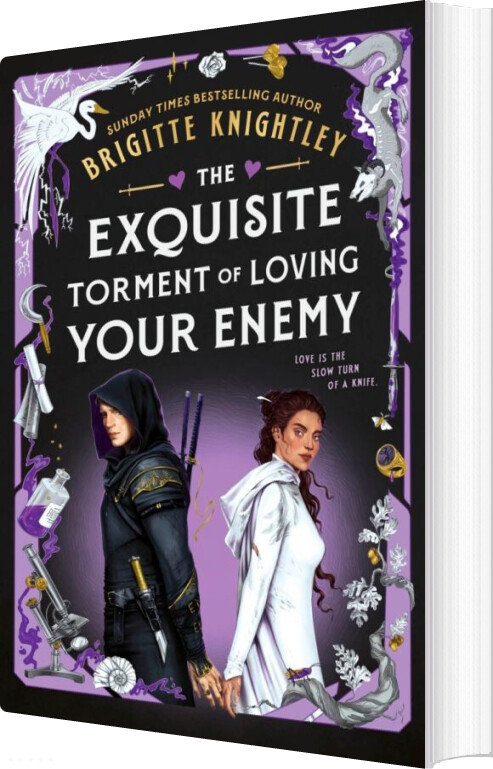 The Exquisite Torment Of Loving Your Enemy - Brigitte Knightley - English Book
