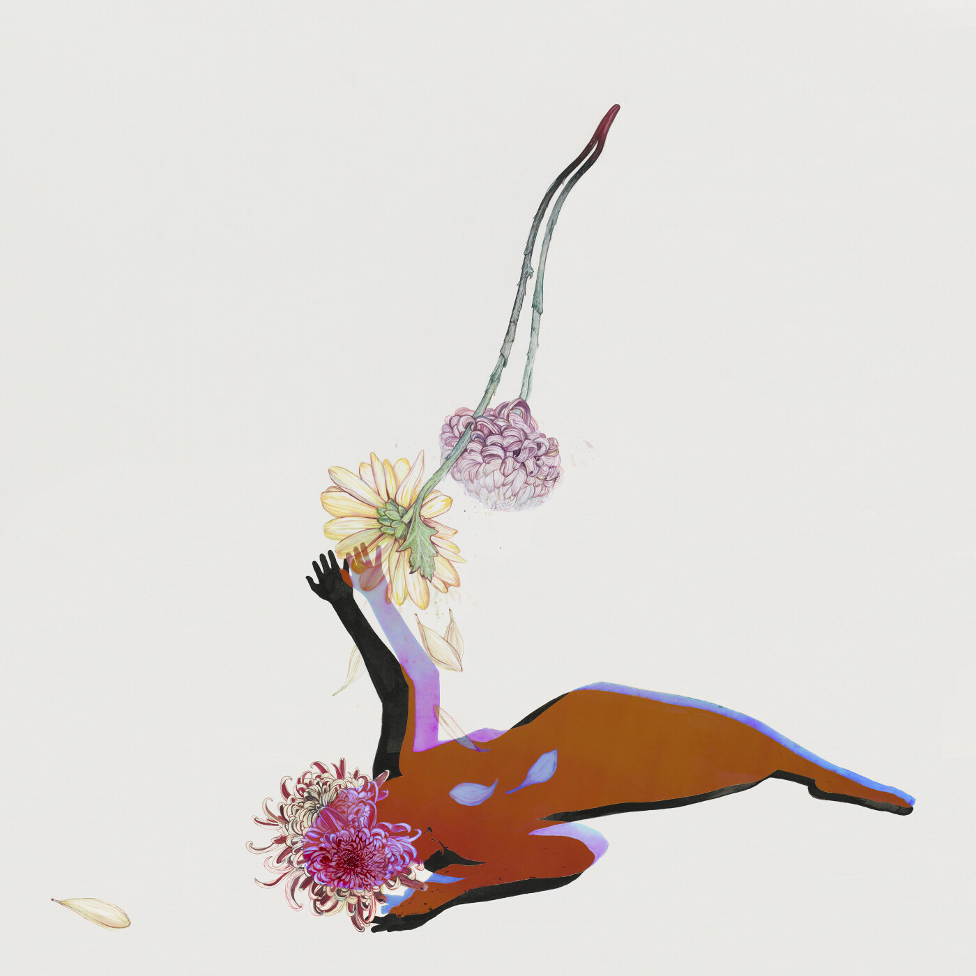 Future Islands - The Far Field - Vinyl Lp